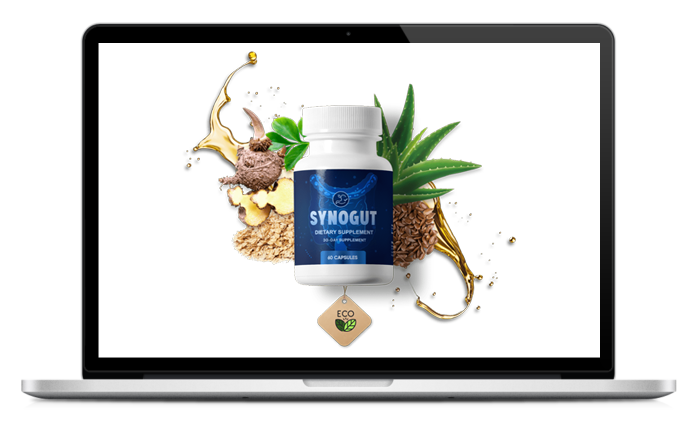 SynoGut Review 2023