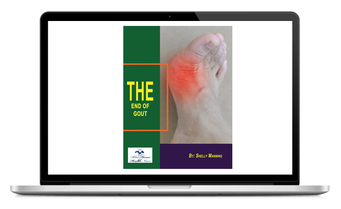 The End Of Gout Review 2023