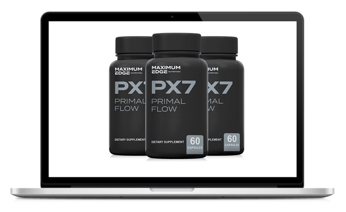 Primal Flow Review 2023