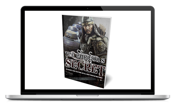 The Warrior's Secret Review 2023