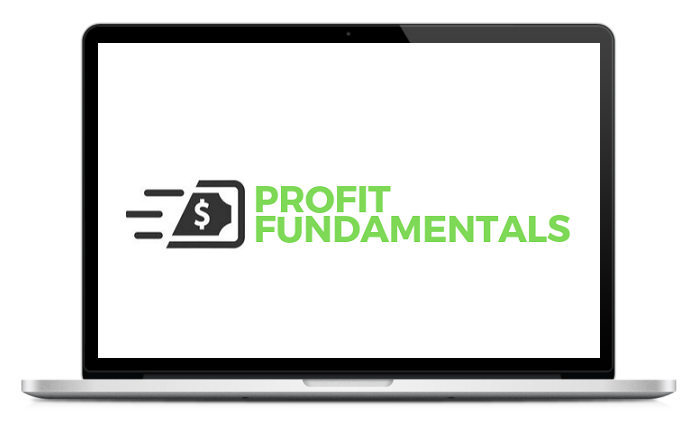 Profit Fundamentals Review 2023